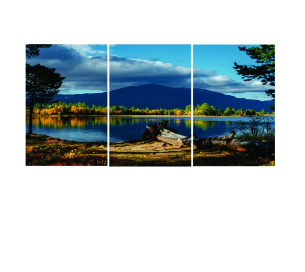 Set Of 3 Nature Wall Art Phototile Frame